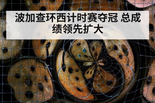 波加查环西计时赛夺冠 总成绩领先扩大