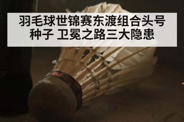 羽毛球世锦赛东渡组合头号种子 卫冕之路三大隐患